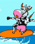 pic for Surf Time